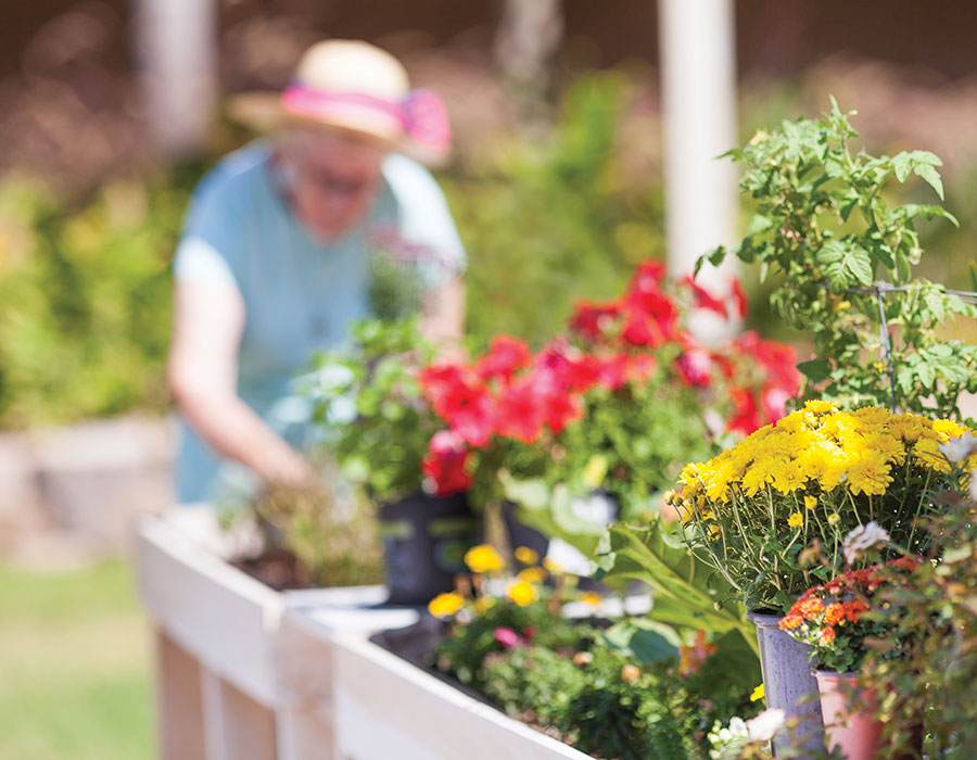Make use of those Green Thumbs - Town & Country - Independent & Assisted Living in Santa Ana, CA