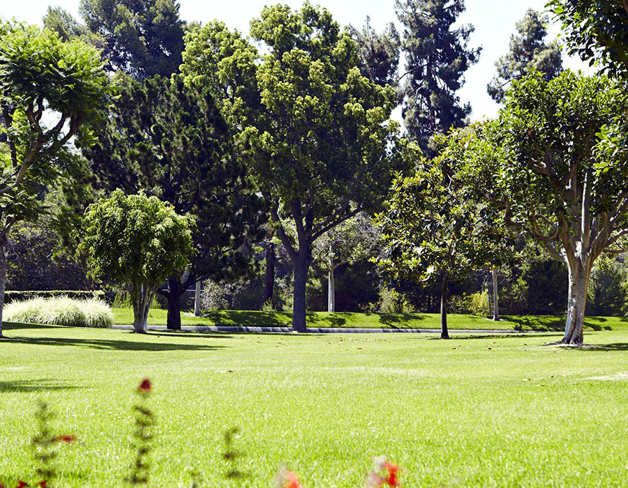 Our Beautiful Grounds - Town & Country - Independent & Assisted Living in Santa Ana, CA