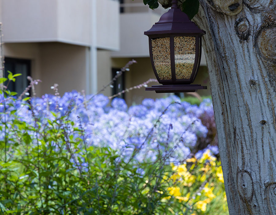 Take a Walk on our Grounds - Town & Country - Independent & Assisted Living in Santa Ana, CA