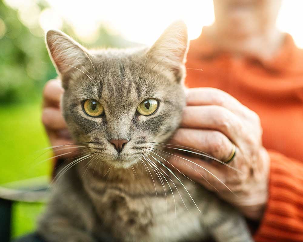Introduction to Communication and Memory Loss