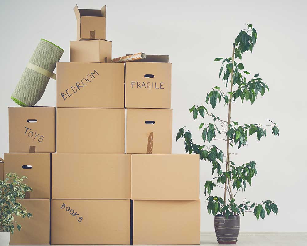 Easy Downsizing
